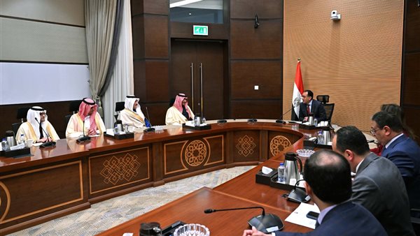 رئيس الوزراء يلتقى