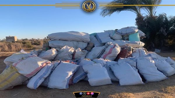 جانب من المضبوطات