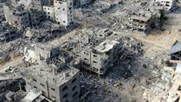 استاذ علوم سياسية