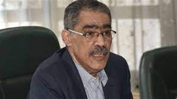 ضياء رشوان رئيس الهيئة