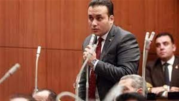 النائب عمرو فهمي