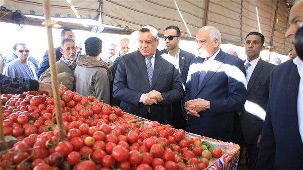 وزير التنمية المحلية