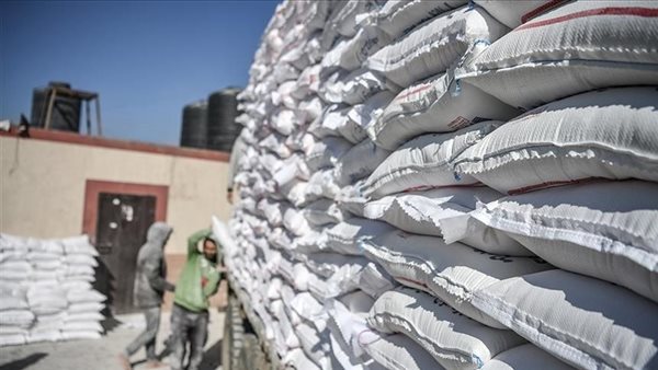 صورة ارشيفية