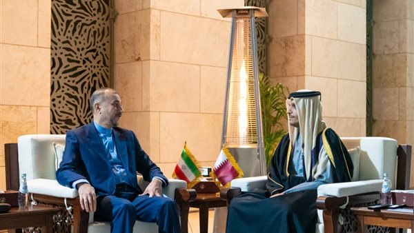 أمير قطر الشيخ تميم