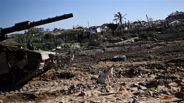 الاحتلال الإسرائيلي