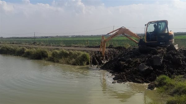 جانب من حملات الإزالة