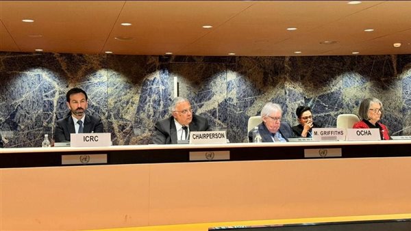 هيئة الامم المتحدة