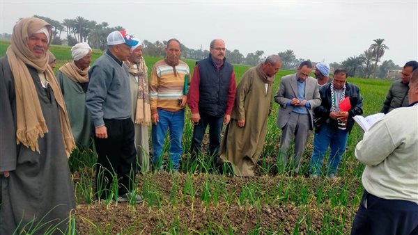 صورة من الحدث 