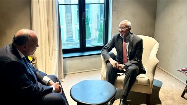 وزير الخارجية يلتقي