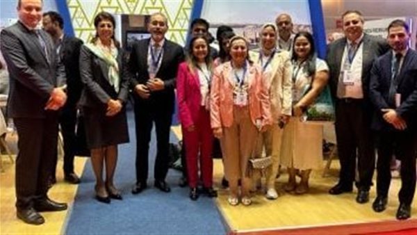 الجناح المصري