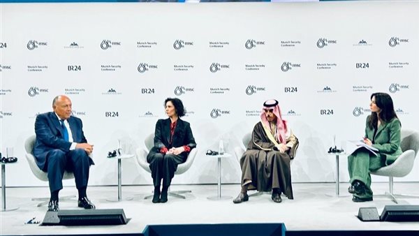 سامح شكري في مؤتمر