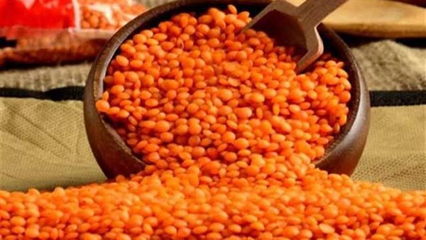 عدس - أرشيفية 