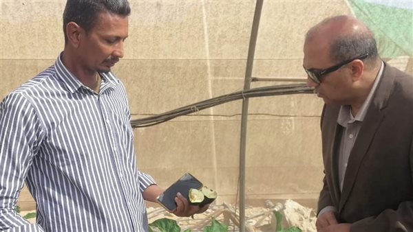 رئيس مدينة مرسى علم