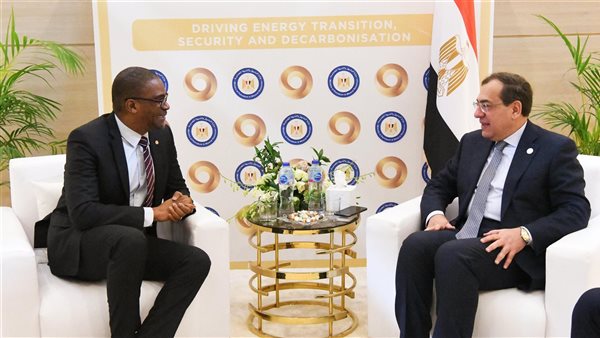 المهندس طارق الملا