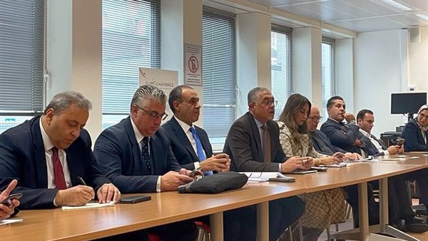 وفد اقتصادي مصري