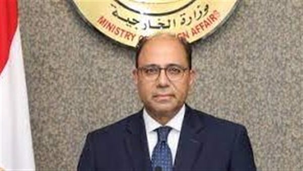 السفير أحمد أبو زيد