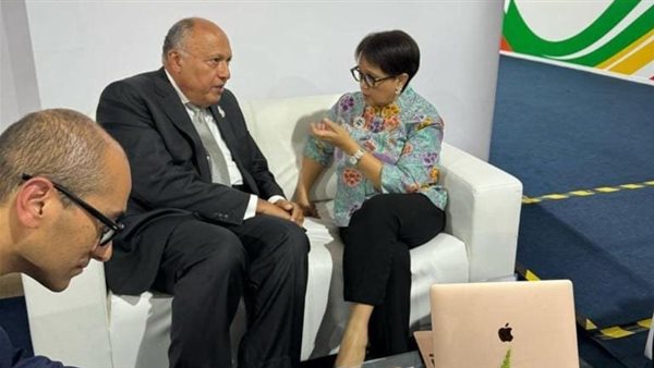 لقاء وزير الخارجية