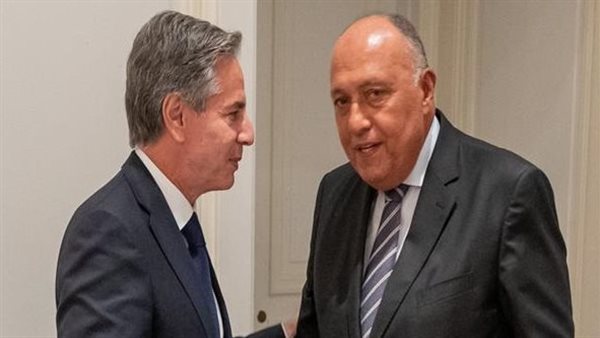 بلينكن وسامح شكري