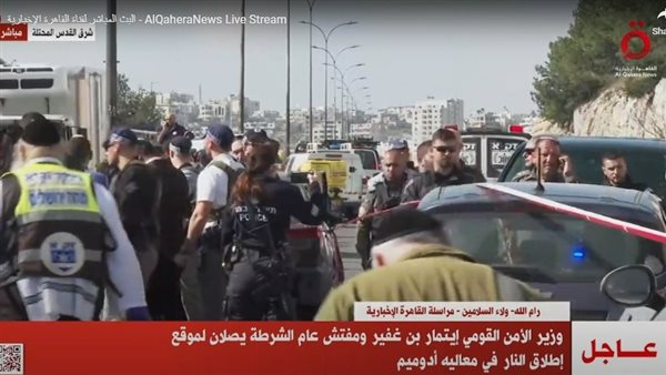 نقلا عن  قناة «القاهرة