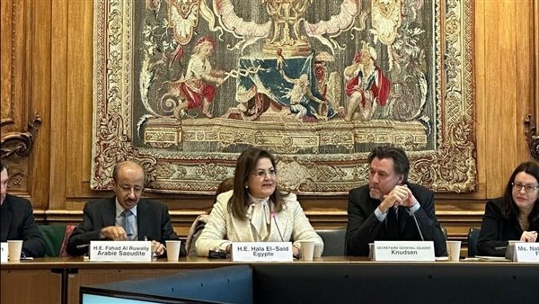 وزيرة التخطيط 