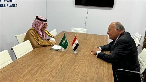 سامح شكري يلتقي وزير