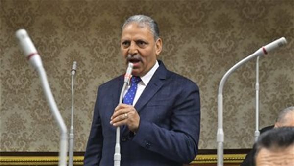  اللواء إبراهيم المصري