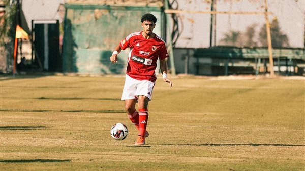 مصطفى أبو الخير