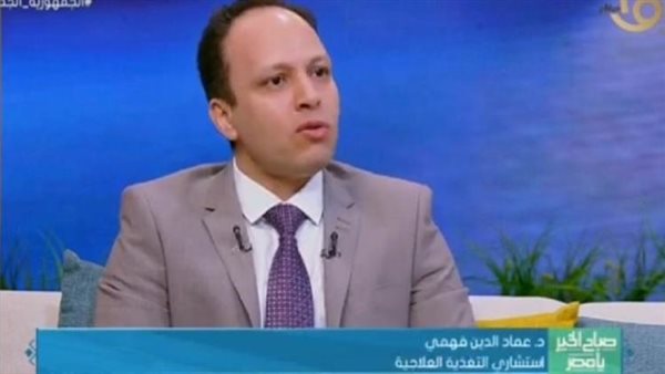 الدكتور عماد الدين