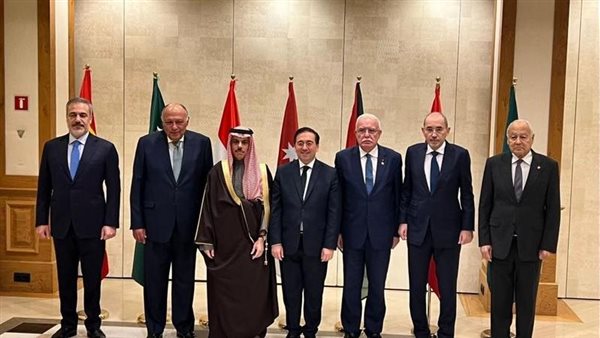  أعضاء اللجنة الوزارية