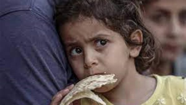 عاجل.. أونروا: طفل من كل 5 في غزة لم يحصل على اللقاحات الأساسية 