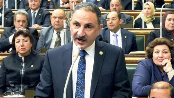 النائب مجدي ملك،