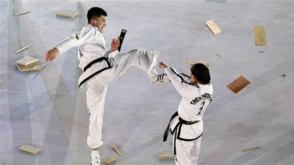 الألعاب القتالية