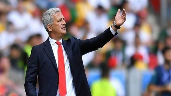 فلاديمير بيتكوفيتش