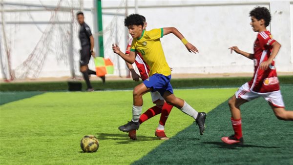 إسماعيلي 2009