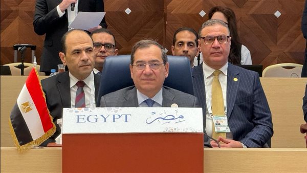 حضور مصري فاعل فى