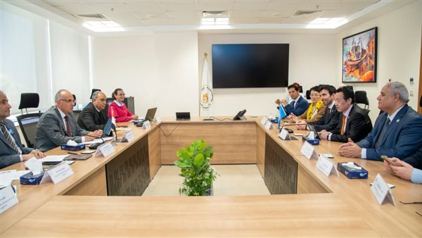 وزير الري يلتقى مدير