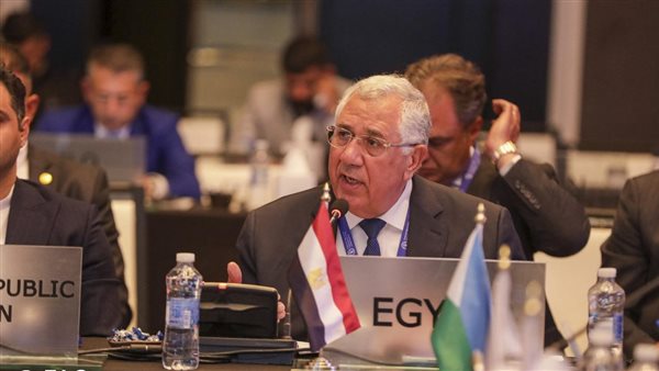  السيد القصير 