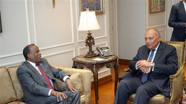 وزير الخارجية يستقبل