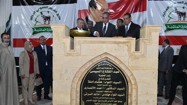 جانب من الفعاليات