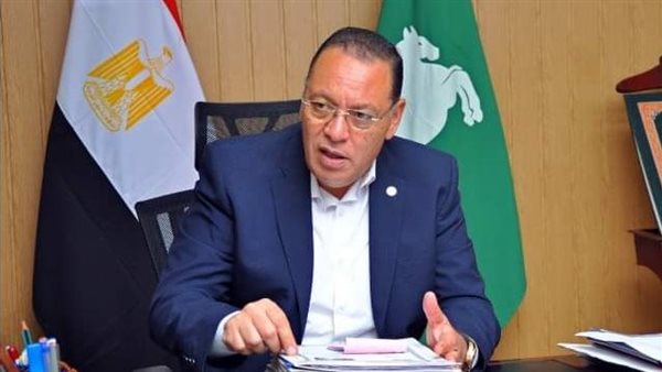 محافظ الشرقية