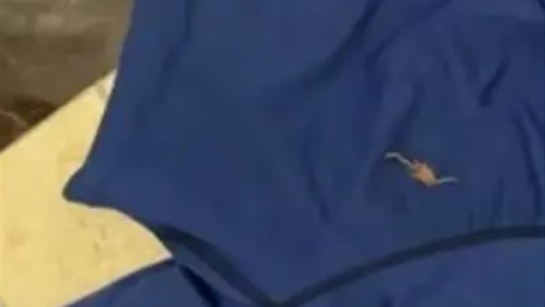 العقرب على الملابس