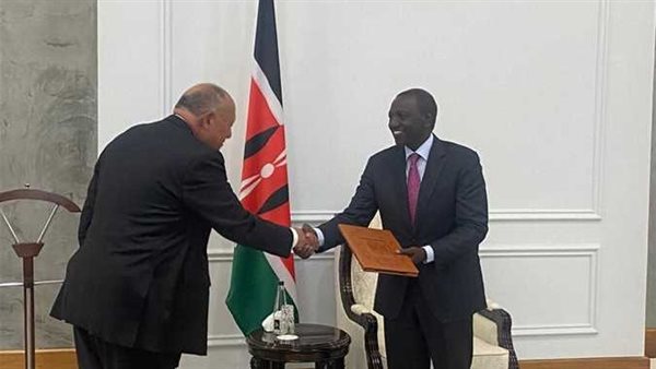 سامح شكري يُسلِّم