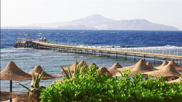 رأس جميلة - أرشيفية