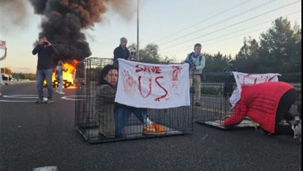 جانب من الحدث 