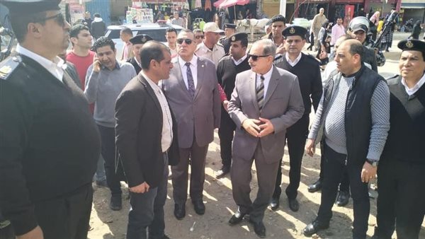 محافظ كفرالشيخ يتفقد