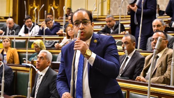 النائب عمرو رشدى