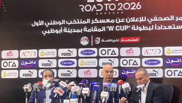 حسام حسن وإبراهيم