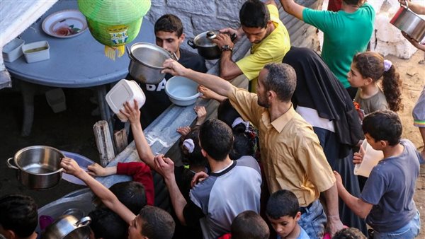 المواطنيين المصريين