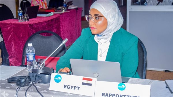 الأستاذة سلمى صقر