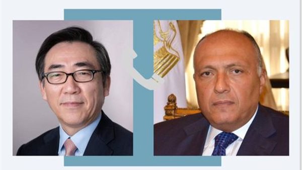  سامح شكري مع نظيره